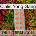 Cialis Yong Gang 26